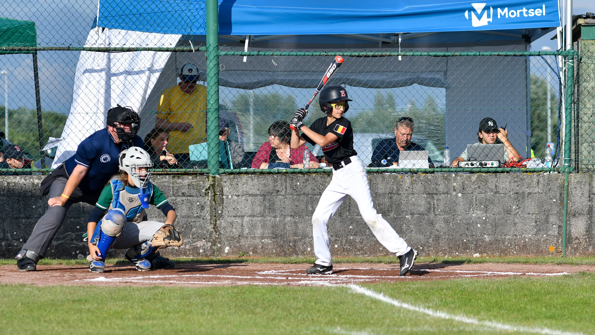 Baseball Career